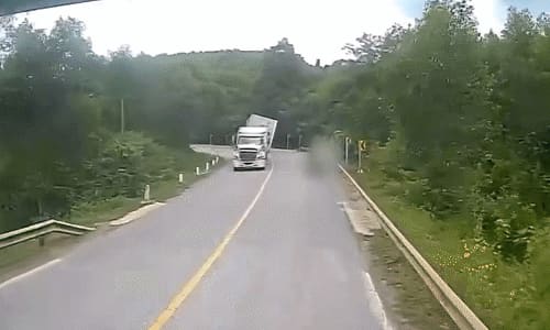 Vào cua nhanh, xe container lật ngang