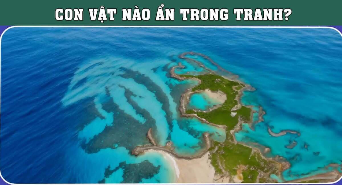 Mắt 10/10 mới thấy con vật bí ẩn trong tranh