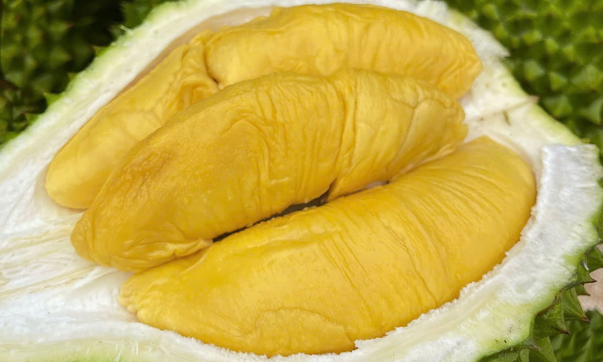Sầu riêng Musang King rẻ chưa từng có