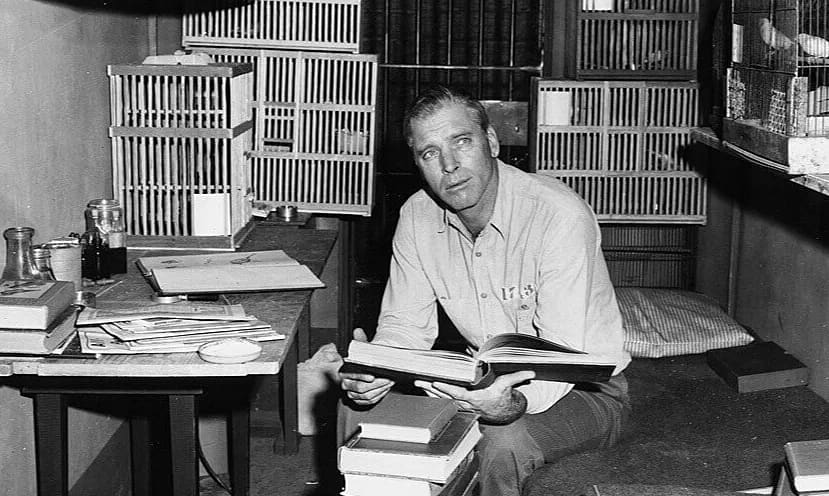 'Người chim Alcatraz' và cuộc đời khó tin của kẻ sát nhân