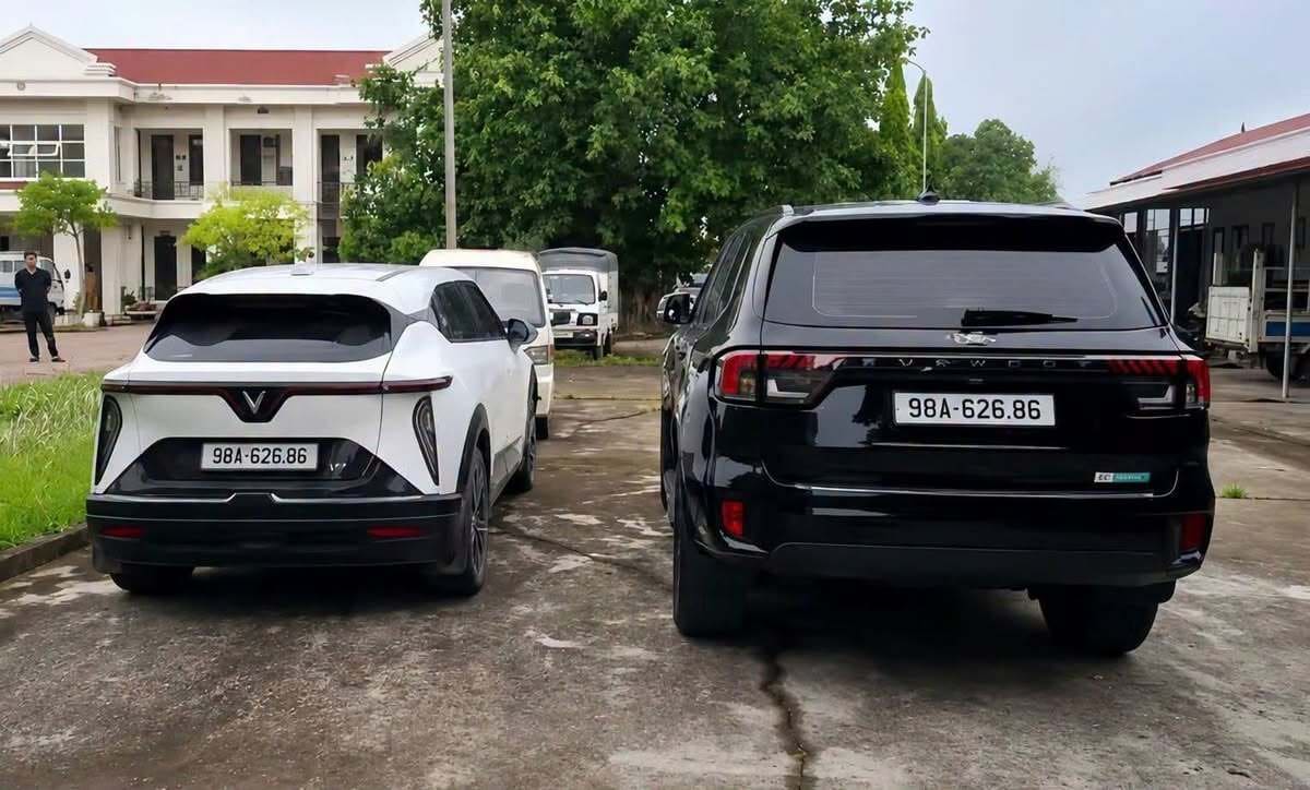 Phải làm sao khi bị xe khác gắn biển số giả vi phạm giao thông?