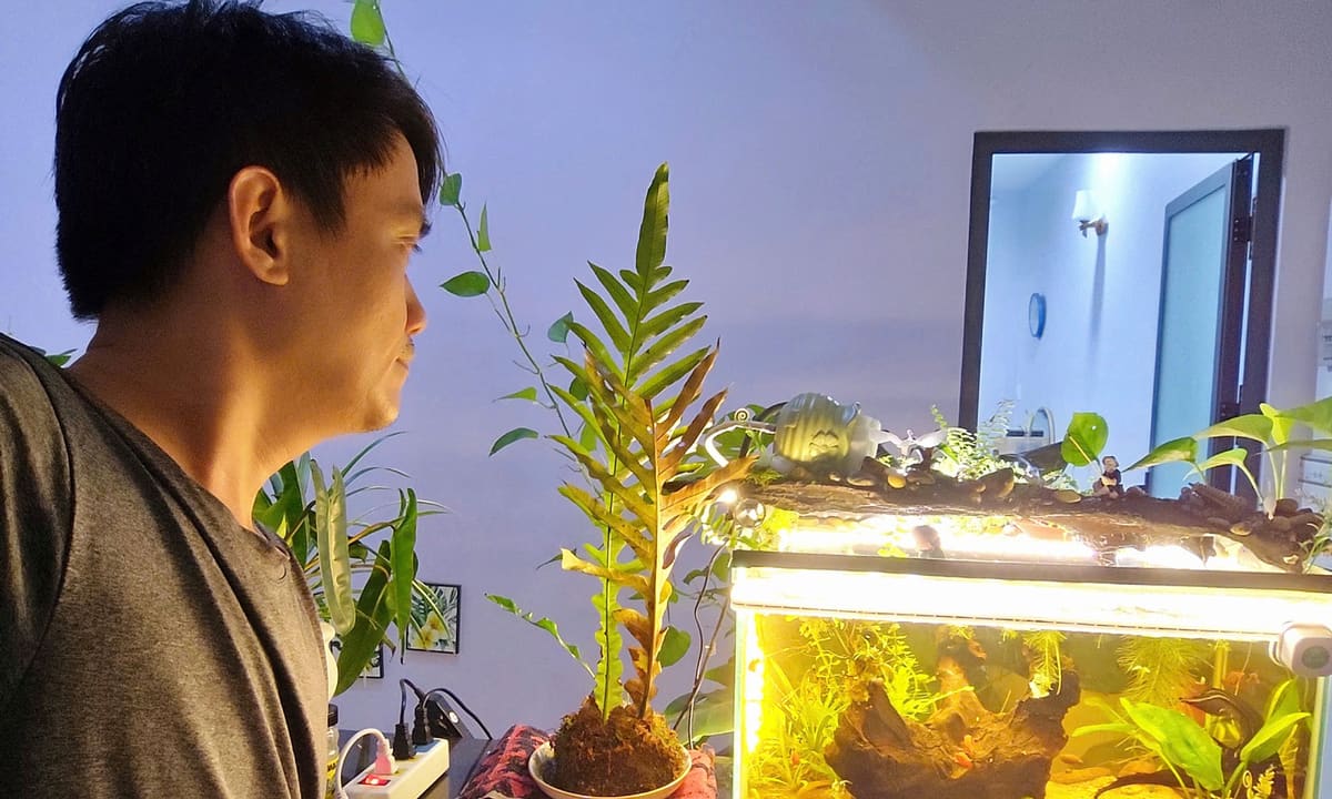 Bỏ nghỉ hưu sớm vì không chịu nổi nhàn rỗi