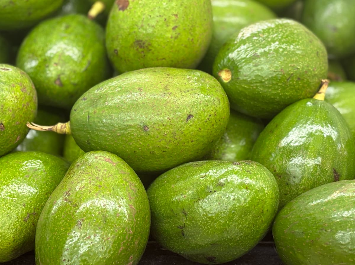 5 món giàu vitamin E tốt cho mắt