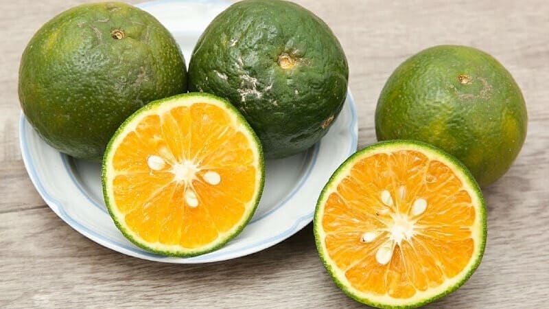Лучше есть фрукты или пить апельсиновый сок?