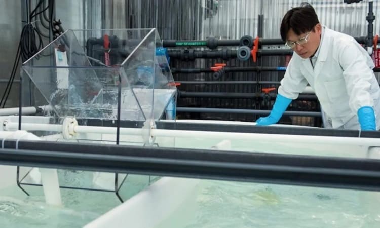 Разработка реакторов для извлечения минералов из морской воды