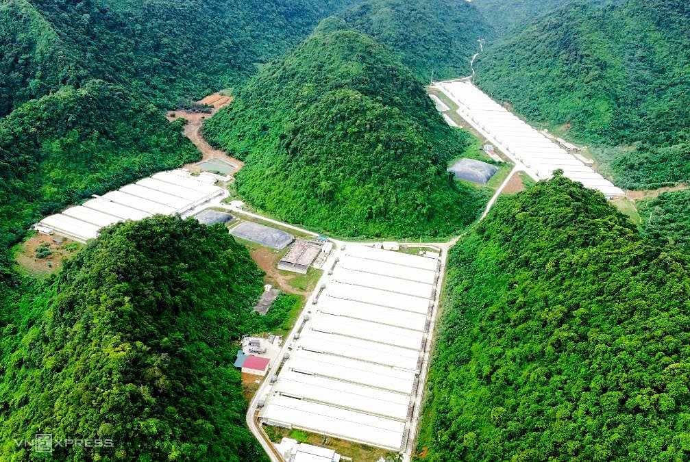 Ba người chết trong trang trại nuôi lợn