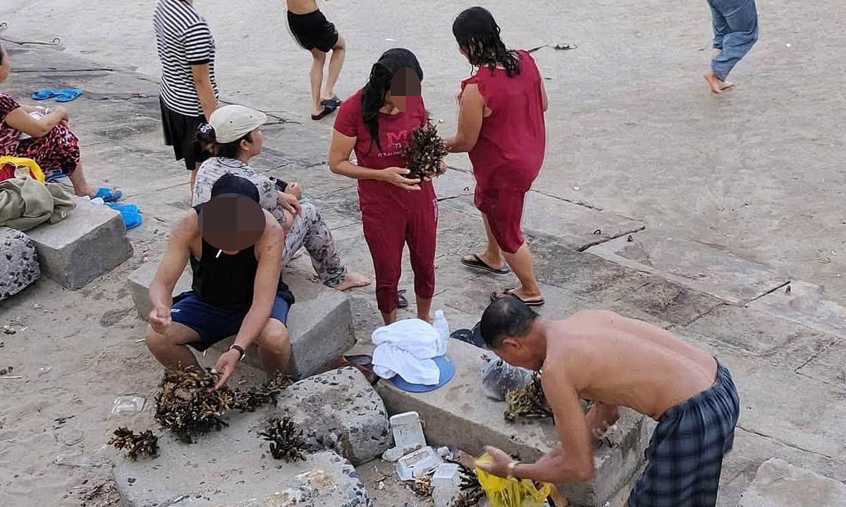 Xác minh nhóm du khách bẻ san hô ở biển Nha Trang