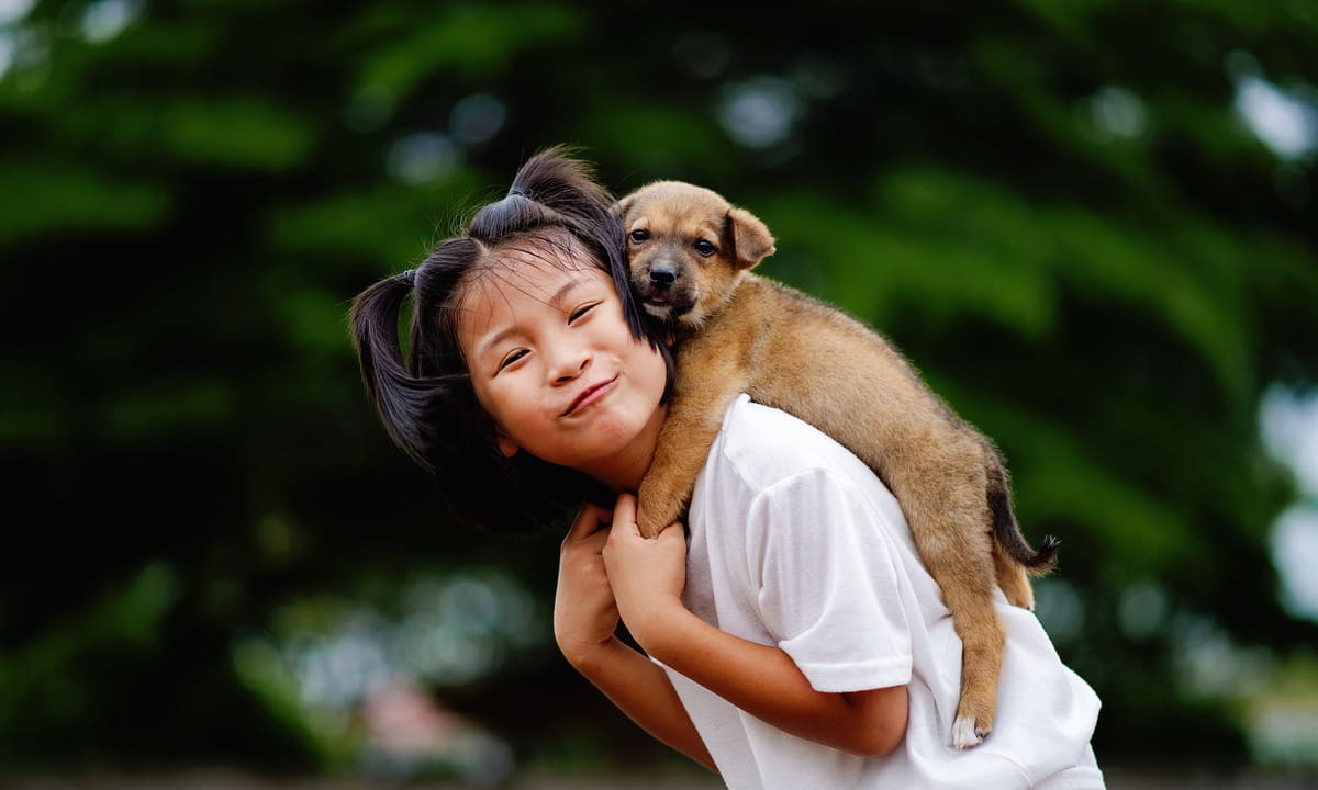 Nhiễm bệnh từ chó do 4 thói quen thường ngày