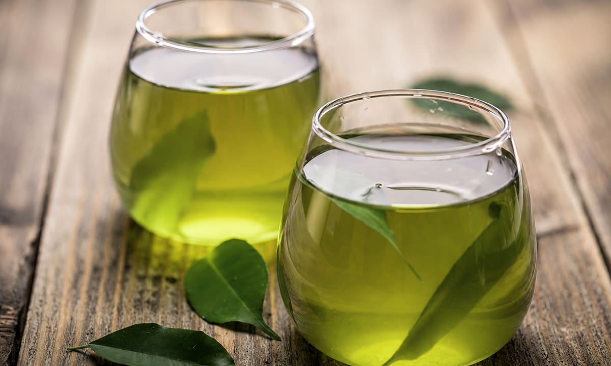 Uống nước lá vối có giảm mỡ máu?