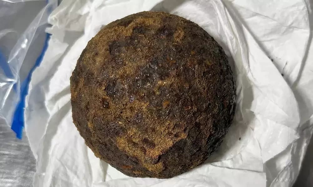 Кража 5 пушечных ядер на известном историческом объекте