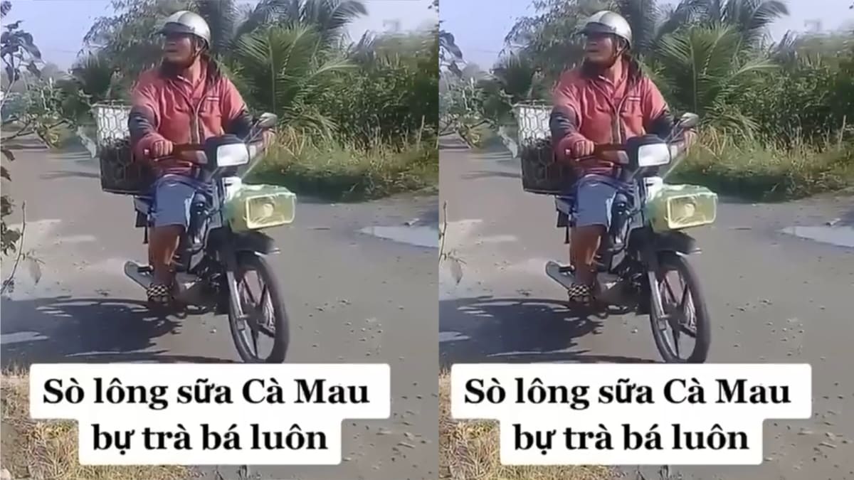 Tiếng rao bán sò lông Cà Mau 'chà bá' gây chú ý