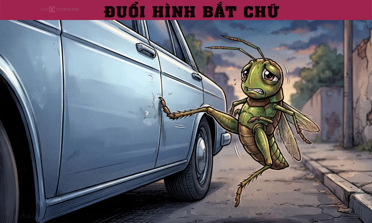 Bạn có nhận ra câu thành ngữ quen thuộc qua bức ảnh này?