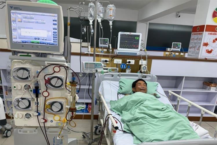 Bị ong vò vẽ đốt 150 vết, người đàn ông suy đa tạng