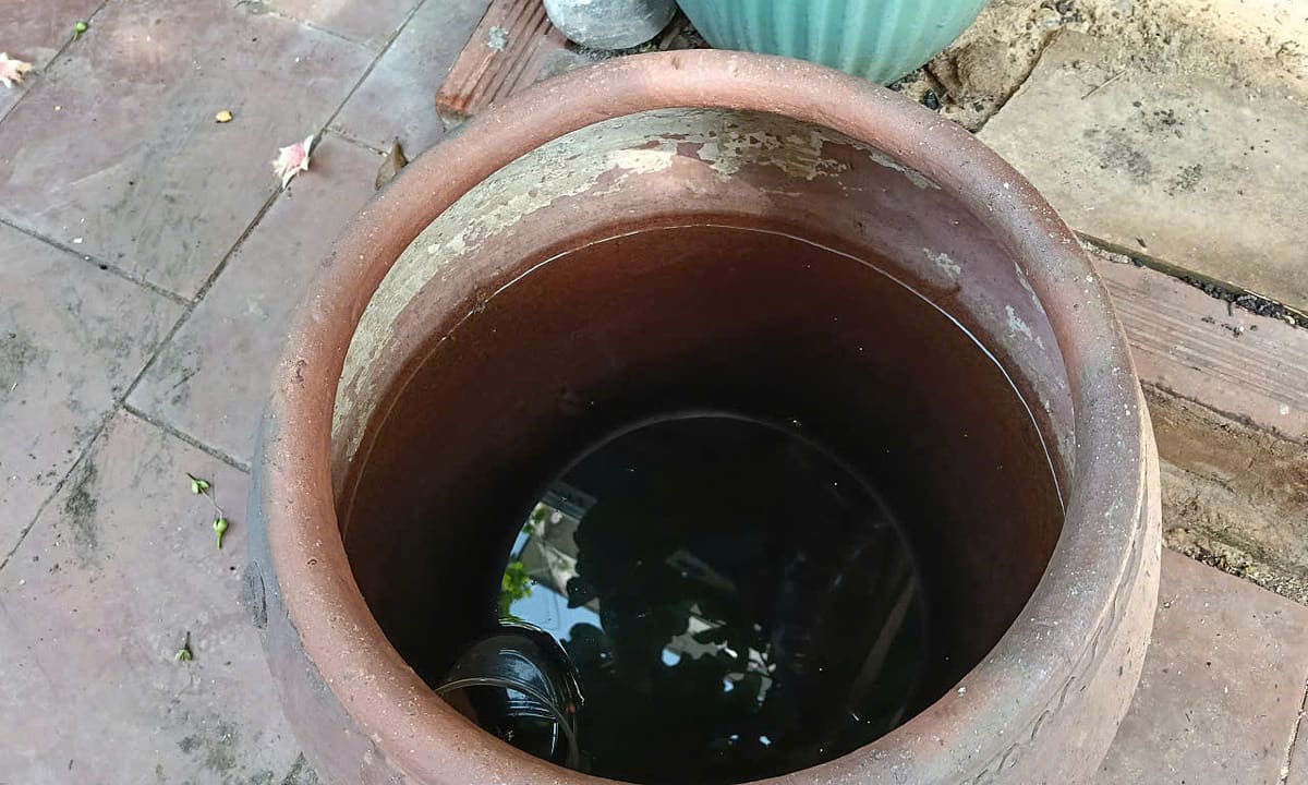 Sợ tái mắc sốt xuất huyết