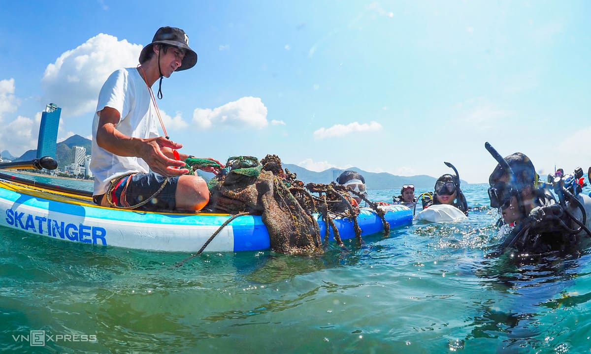 Sứa xuất hiện dày ở biển Nha Trang, nhiều du khách bị đốt
