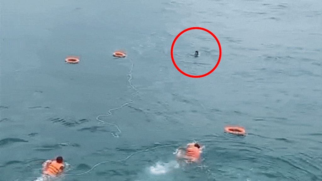 8 часов выживания в море девушки, упавшей в Муйне
