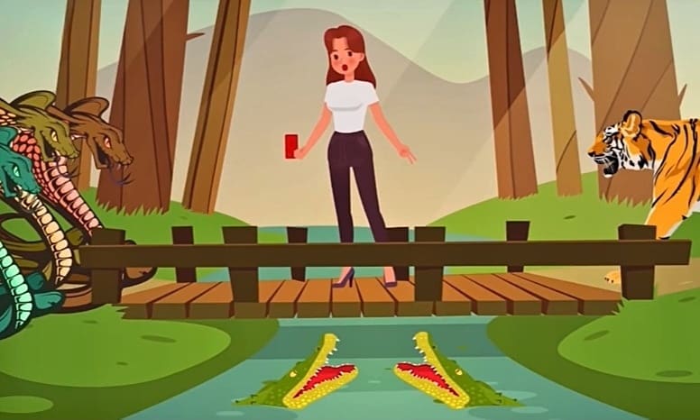 Hổ bên trái, rắn bên phải, cá sấu dưới nước: Cô gái làm gì để sống sót?